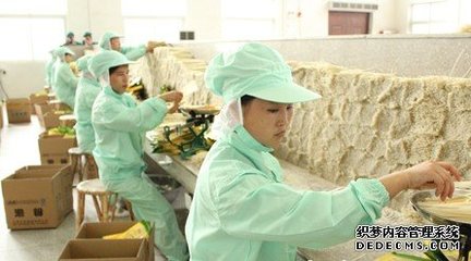 肉制品及農(nóng)副產(chǎn)品深加工項(xiàng)目可行性研究報(bào)告